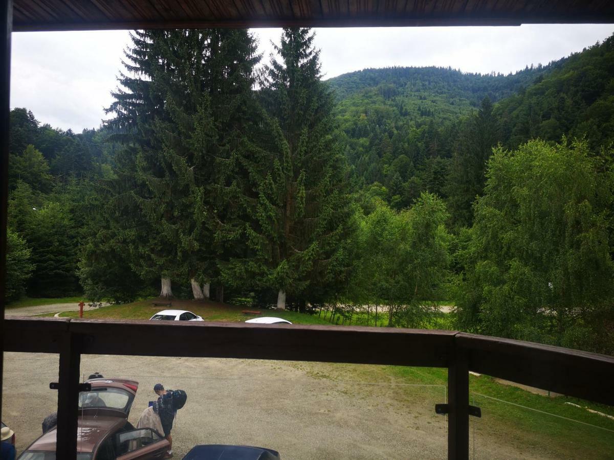 Floarea Reginei Ξενοδοχείο Statiunea Climaterica Sambata Εξωτερικό φωτογραφία