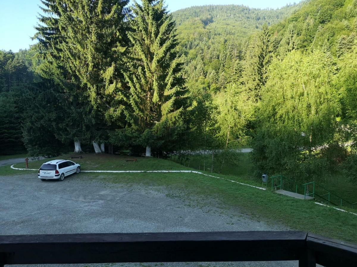Floarea Reginei Ξενοδοχείο Statiunea Climaterica Sambata Εξωτερικό φωτογραφία