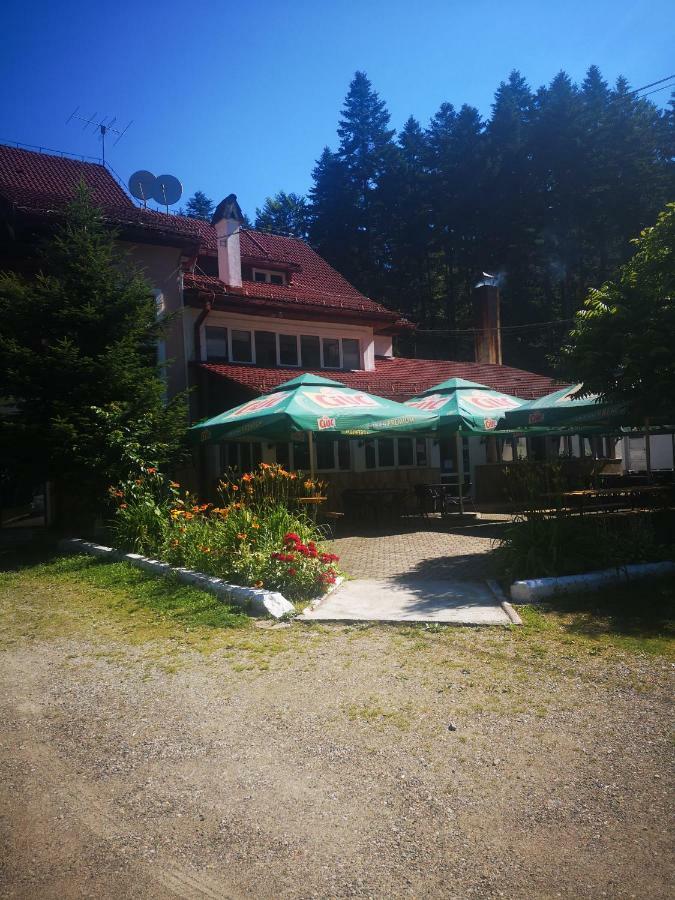 Floarea Reginei Ξενοδοχείο Statiunea Climaterica Sambata Εξωτερικό φωτογραφία