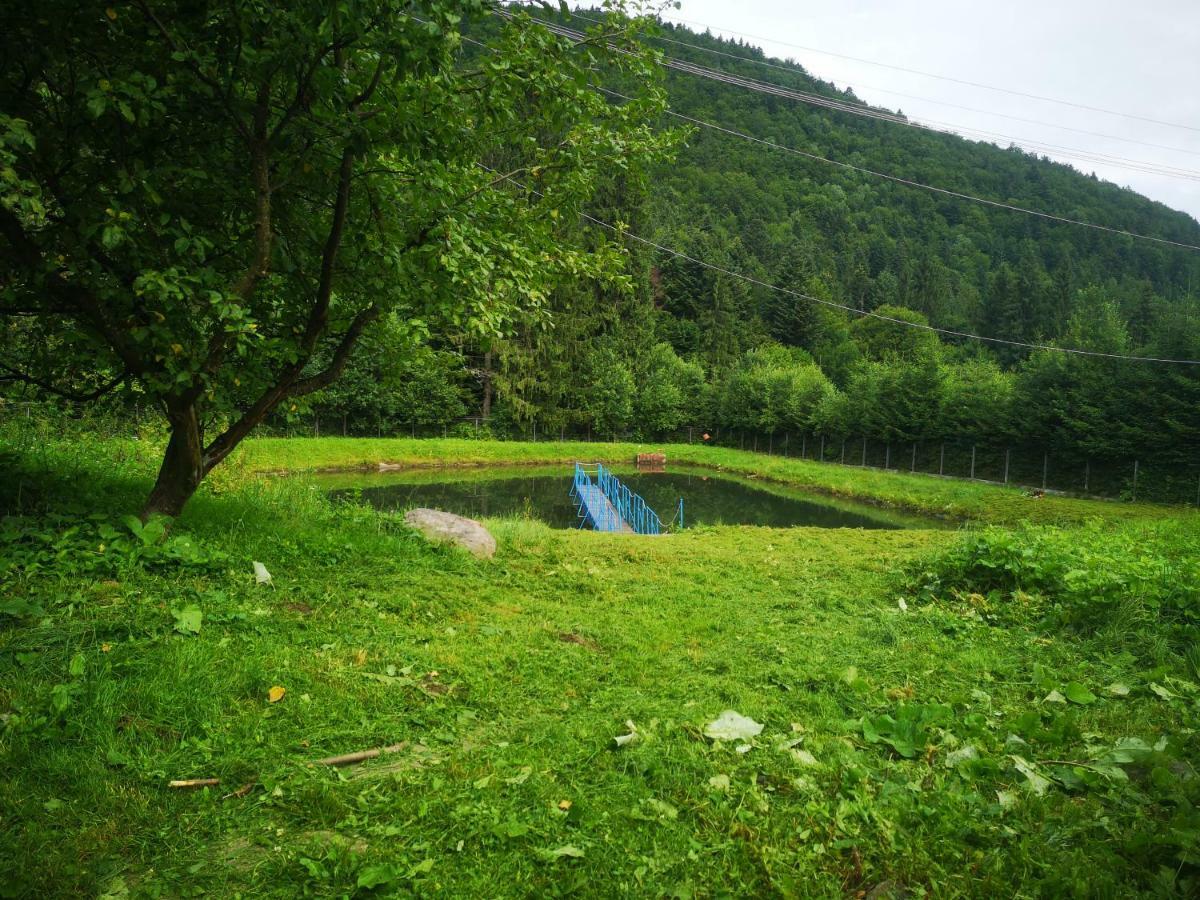 Floarea Reginei Ξενοδοχείο Statiunea Climaterica Sambata Εξωτερικό φωτογραφία
