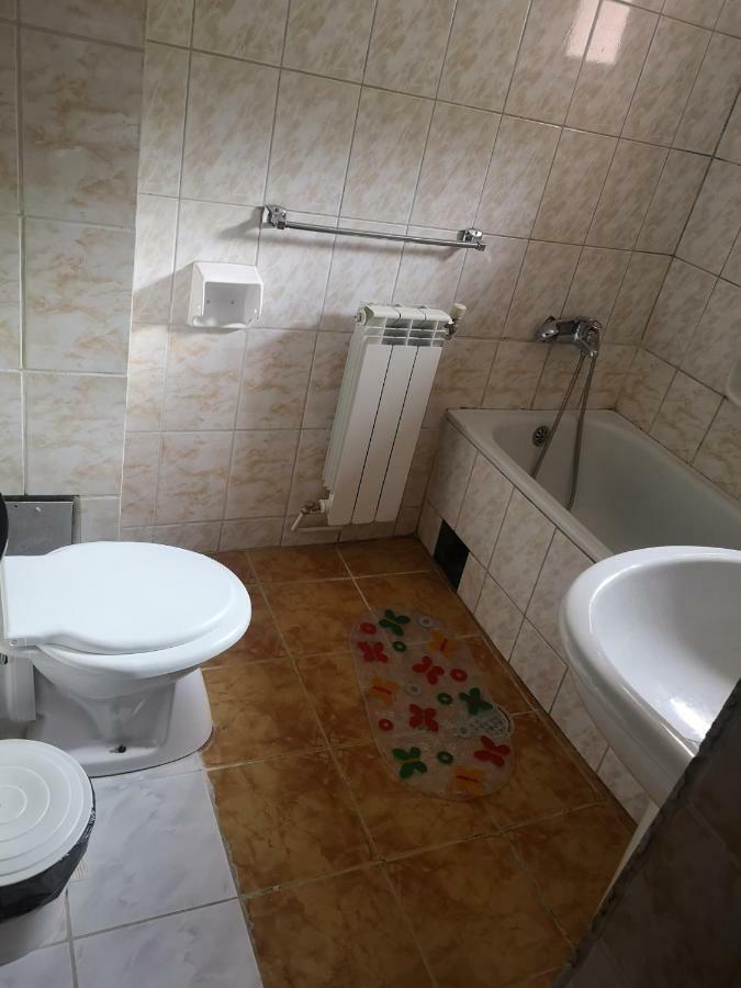 Floarea Reginei Ξενοδοχείο Statiunea Climaterica Sambata Εξωτερικό φωτογραφία