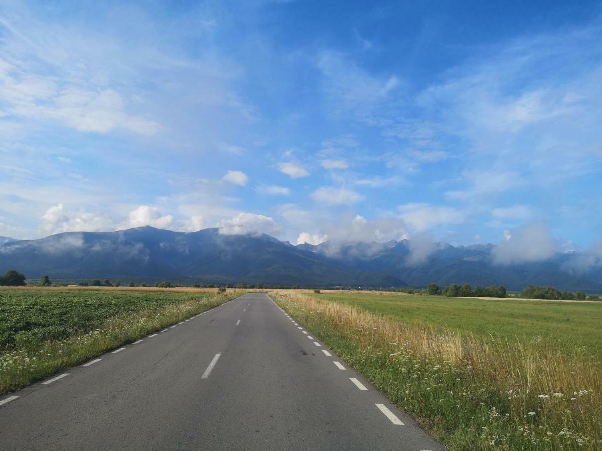 Floarea Reginei Ξενοδοχείο Statiunea Climaterica Sambata Εξωτερικό φωτογραφία